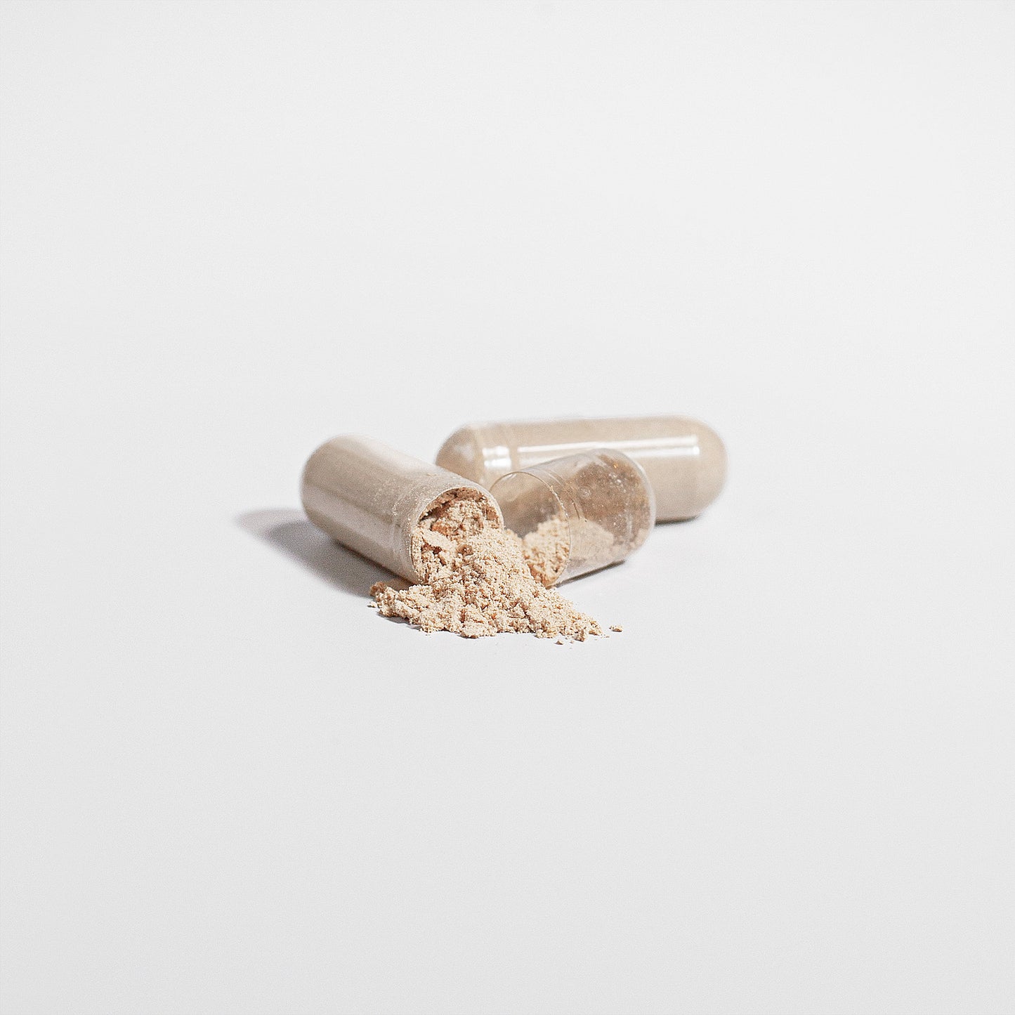CHAGA Mushroom Formula - Capsules