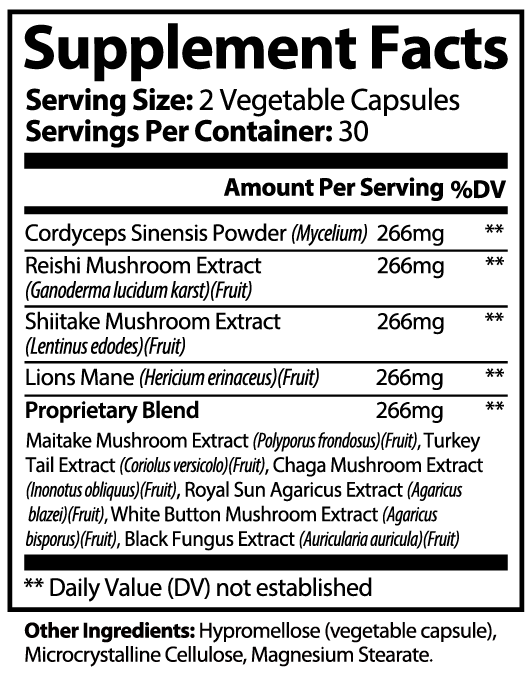 NEURO BOOSTER Advanced Mushroom Complex - Capsules