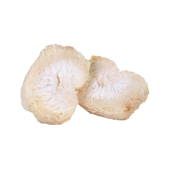 Lions mane mushroom supplements